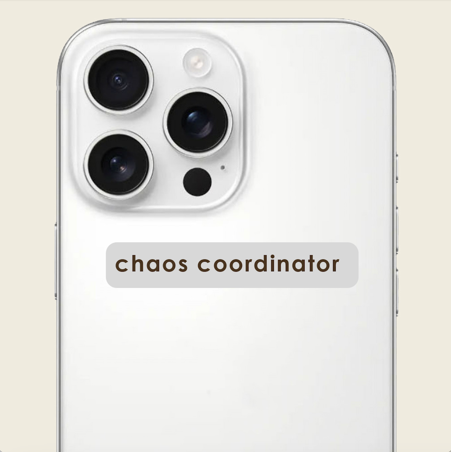 Картинка Об'ємний стікер "Chaos coordinator"